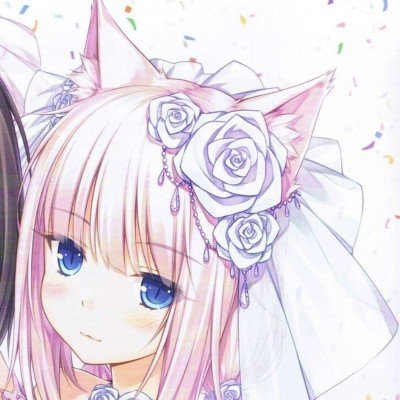 鸡煲老板剩40万债
